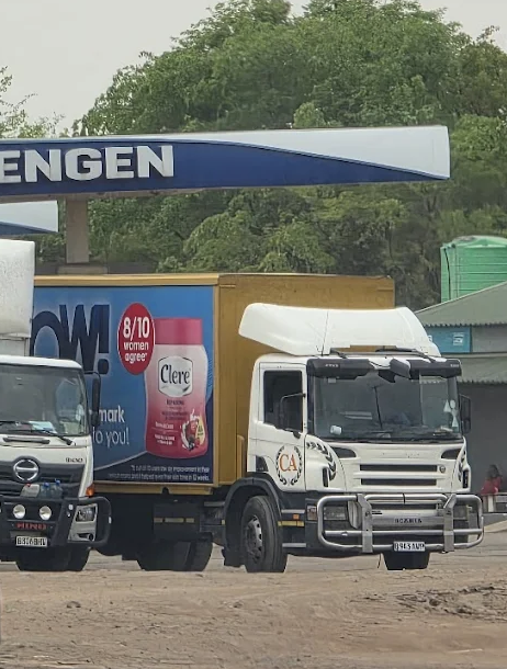 Engen Pandamatenga Logo